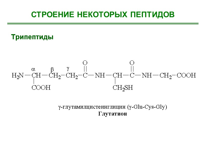 Трипептиды  СТРОЕНИЕ НЕКОТОРЫХ ПЕПТИДОВ